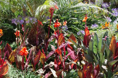 Papier peint  Full frame view of a part of a lush garden full of colorful plants and flowers including orange lilies, strelitzia bird-of-paradise plants, agapanthus flowers and a small palm tree