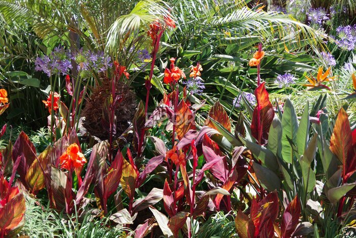 Papier peint  Full frame view of a part of a lush garden full of colorful plants and flowers including orange lilies, strelitzia bird-of-paradise plants, agapanthus flowers and a small palm tree