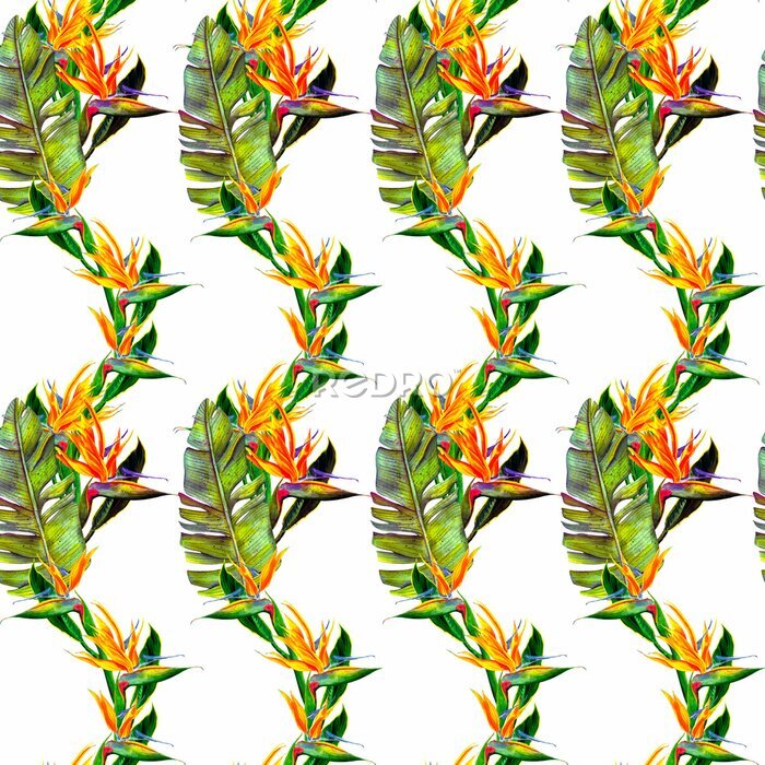 Papier peint  funny seamless wallpaper wallpaper of tropical green palm leaves and strelitzia flowers on a beige background.