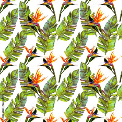 Papier peint  funny seamless wallpaper wallpaper of tropical green palm leaves and strelitzia flowers on a white background.
