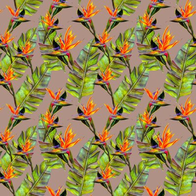 Papier peint  funny seamless wallpaper wallpaper of tropical green palm leaves and strelitzia flowers on a white background.