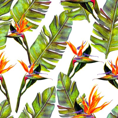 Papier peint  funny seamless wallpaper wallpaper of tropical green palm leaves and strelitzia flowers on a white background.