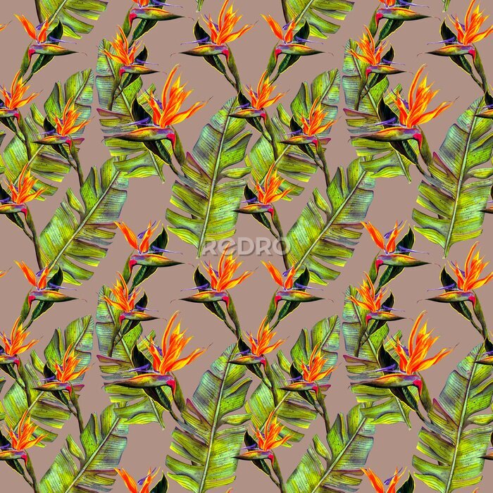 Papier peint  funny seamless wallpaper wallpaper of tropical green palm leaves and strelitzia flowers on a white background.