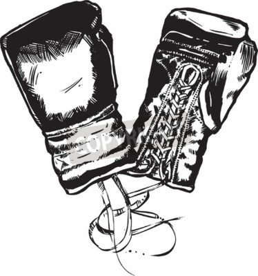 Papier peint  Gants de boxe noir et blanc