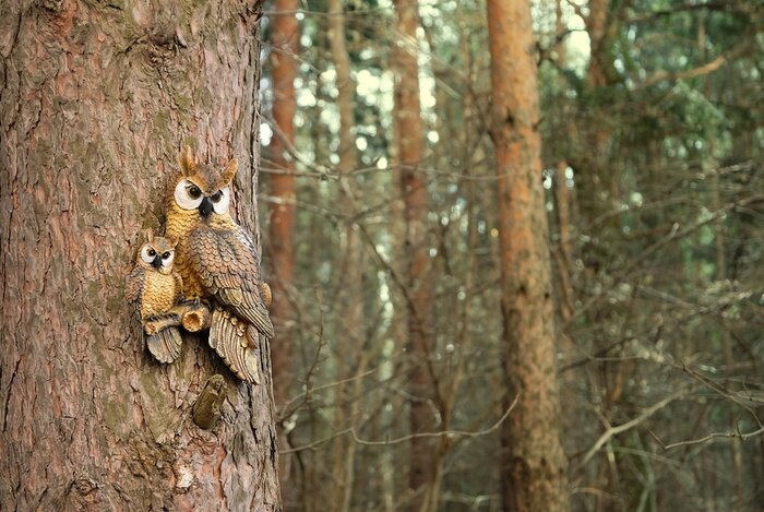 Papier peint  garden sculpture of an owl. Plaster statuette of an owl hanging on pine tree. forest landscape with decorative owls.