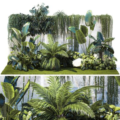 Papier peint   Garden with exotic plants Strelitzia Ravenal palm