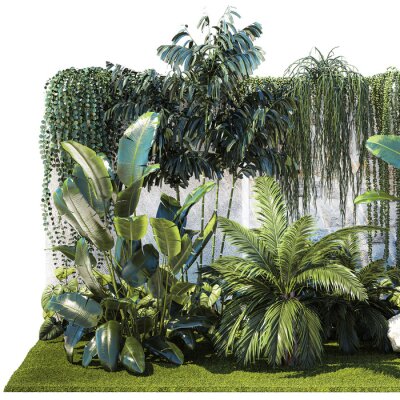 Papier peint   Garden with exotic plants Strelitzia Ravenal palm