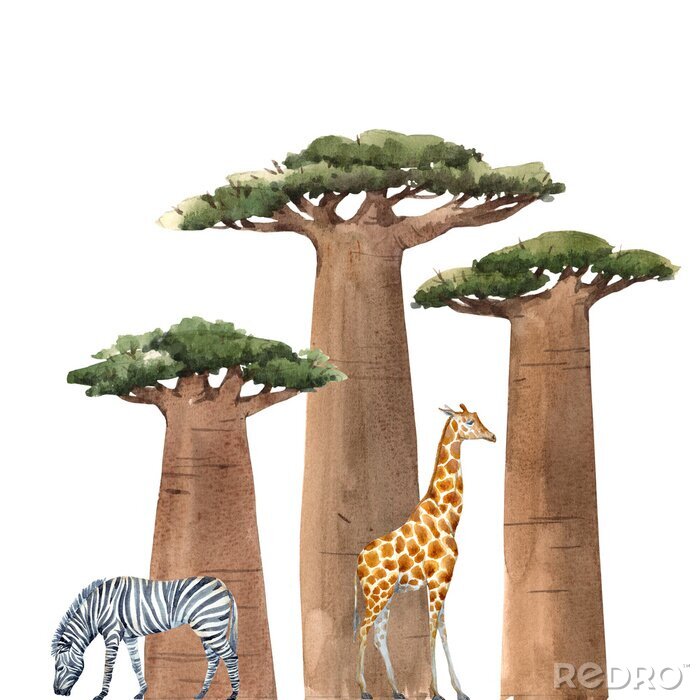 Papier peint  Girafe et arbres africains