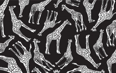 Papier peint  Girafes sur un fond noir