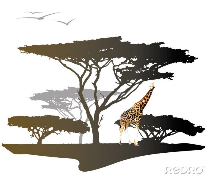 Papier peint  Giraffe avec la silhouette de l'arbre