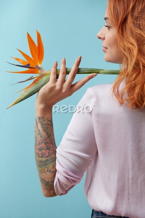 Papier peint  Girl with a tattoo holding on her shoulder an orange flower strelitzia around a blue background with space for text. Creative layout