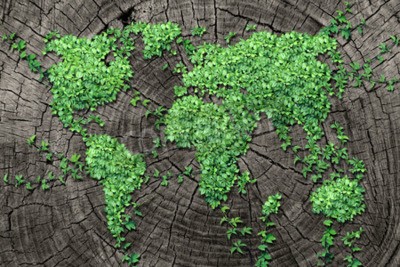 Papier peint  Global propagation concept et le développement comme un concept d'entreprise avec une carte du monde fait d'un groupe organisé de feuilles persistantes de vigne croissant sur un tronc d'arbre mort com
