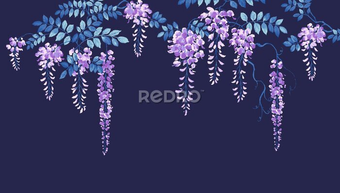Papier peint  Glycines violettes