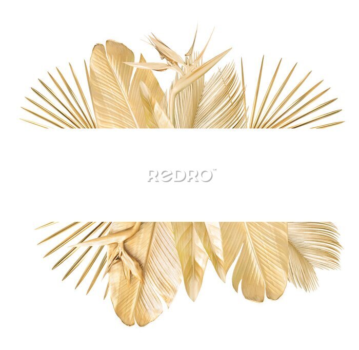 Papier peint  Golden palm leaves banner with golden strelitzia flower. Isolated on white. 