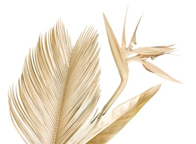 Papier peint  Golden palm leaves, strelitzia flower, bird of paradise. Banana leaf. Bouquet isolated. Nature background.