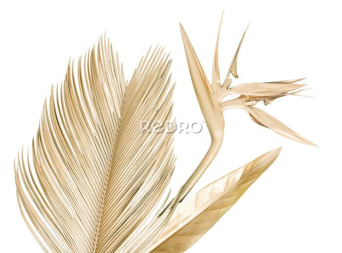 Papier peint  Golden palm leaves, strelitzia flower, bird of paradise. Banana leaf. Bouquet isolated. Nature background.
