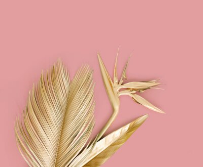 Papier peint  Golden palm leaves with golden strelitzia flower. Isolated on pink.