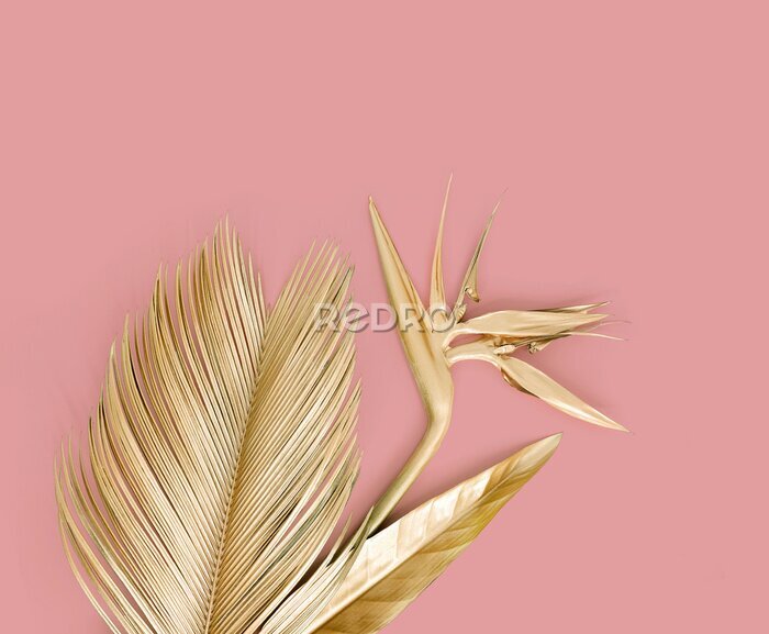 Papier peint  Golden palm leaves with golden strelitzia flower. Isolated on pink.