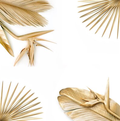 Papier peint  Golden palm leaves with golden strelitzia flower. Isolated on white. 
