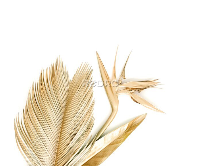 Papier peint  Golden palm leaves with golden strelitzia flower. Isolated on white. 