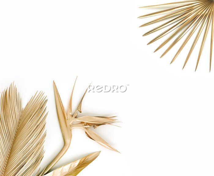 Papier peint  Golden palm leaves with golden strelitzia flower. Isolated on white. 