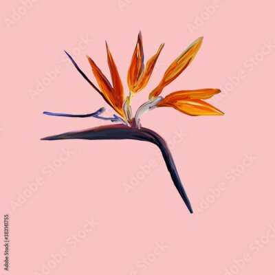Papier peint  Gouache painted Bird of Paradise on pink. Watercolor illustration with realistic branch of strelitzia. Bird of paradise flower painted on mint Botanical illustration.