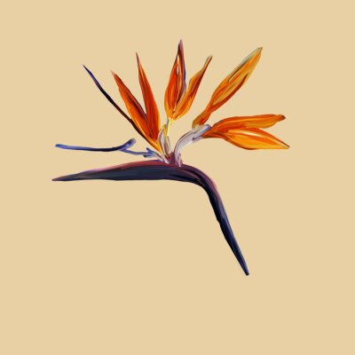 Papier peint  Gouache painted Bird of Paradise. Watercolor illustration with realistic branch of strelitzia isolated on yellow. Bird of paradise flower painted on mint Botanical illustration.