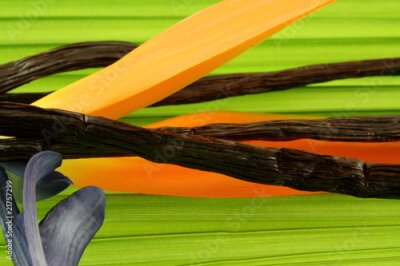 Papier peint  gousses vanille Bourbon, strelitzia, aime feuille de palmier