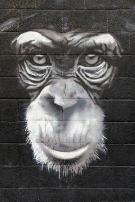 Papier peint  Graffiti 3D avec un singe