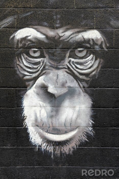 Papier peint  Graffiti 3D avec un singe