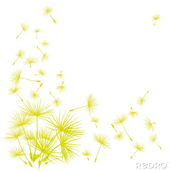 Papier peint  Graines de pissenlit vert pâle