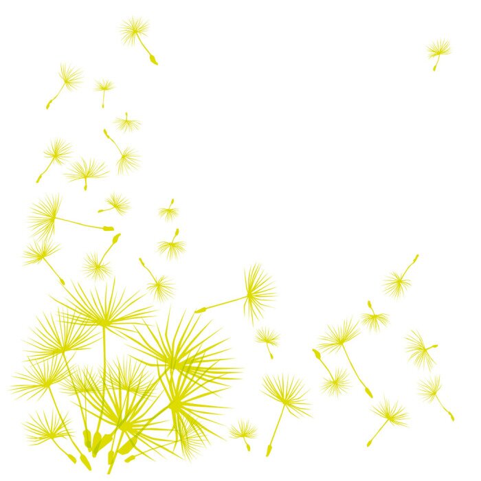 Papier peint  Graines de pissenlit vert pâle