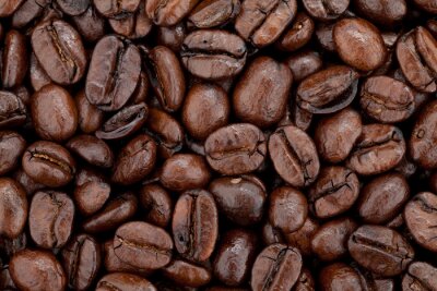 Grains de café composant un superbe fond
