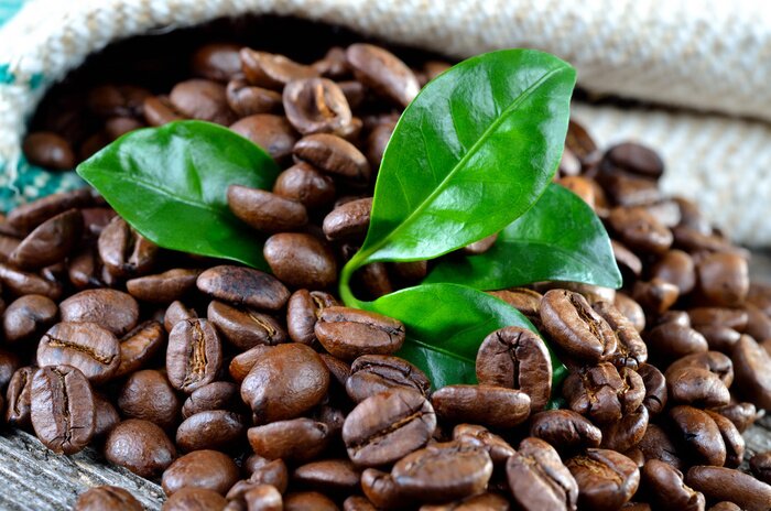 Papier peint  Grains de café et feuilles