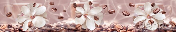 Papier peint  Grains de café et fleurs blanches élégantes