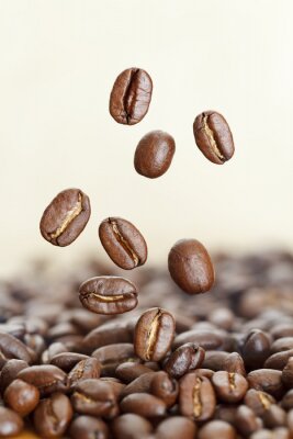 Papier peint  Grains de café qui tombent