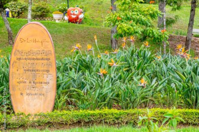 Papier peint  Grand buisson avec des fleurs de Strelitzia Reginae à un parc de fleurs à Dalat Vietnam