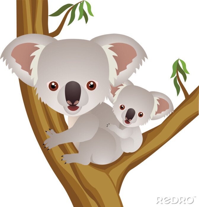Papier peint  Grand et petit koala sur l'arbre