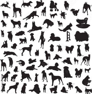 Papier peint  grande collection de différentes silhouettes des chiens