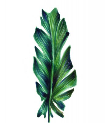 Grande feuille de bananier sur fond blanc