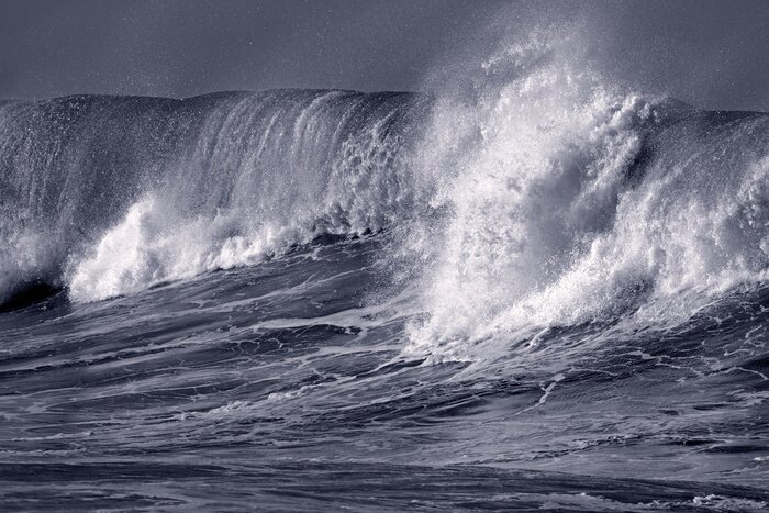 Papier peint  Grande vague