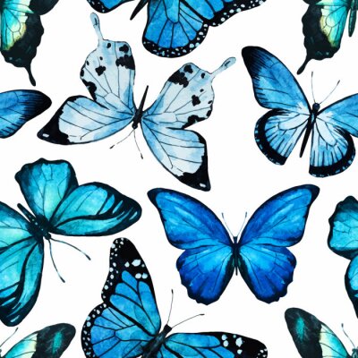 Grands papillons bleus sur fond blanc