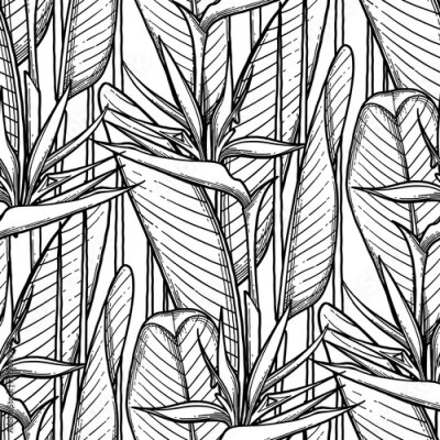 Papier peint  Graphic strelitzia pattern