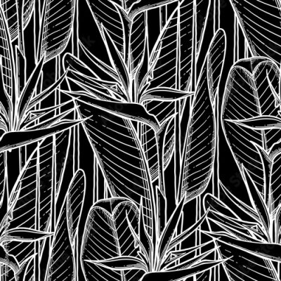 Papier peint  Graphic strelitzia pattern