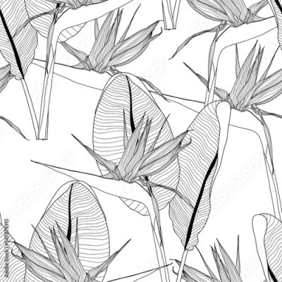 Papier peint  Graphic strelitzia seamless pattern. Vector exotic leaves and flowers.  Floral pattern for invitations, cards, print, gift wrap, manufacturing, textile, fabric, wallpapers.