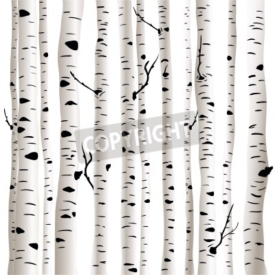 Papier peint  Graphique 3D de bouleaux