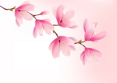 Graphiques avec un magnolia rose