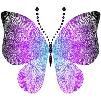 Graphiques modernes représentant un papillon multicolore