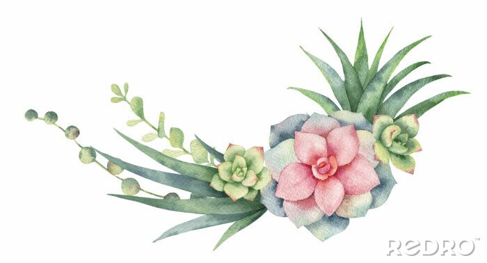 Papier peint  Graphiques pastel avec une plante