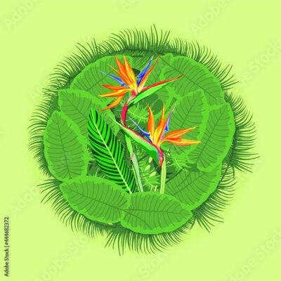 Papier peint  Green exotic tropical palm leaves, royal strelitzia on yellow-green background.
